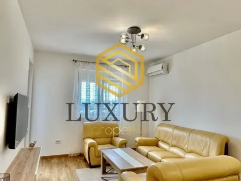 Izdavanje, jednosoban stan, 47m², Stari Aerodrom, Podgorica - image 2