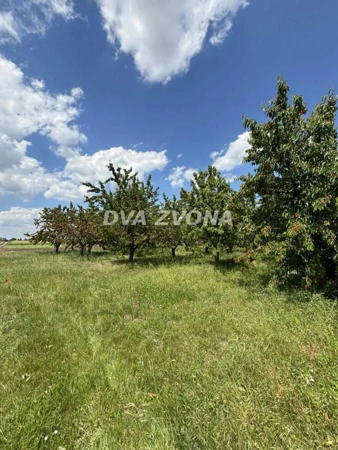 Prodaja, plac, 28700m², Novi Slankamen, Inđija