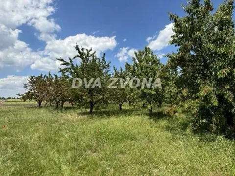 Prodaja, plac, 287m², Novi Slankamen, Inđija - image 6