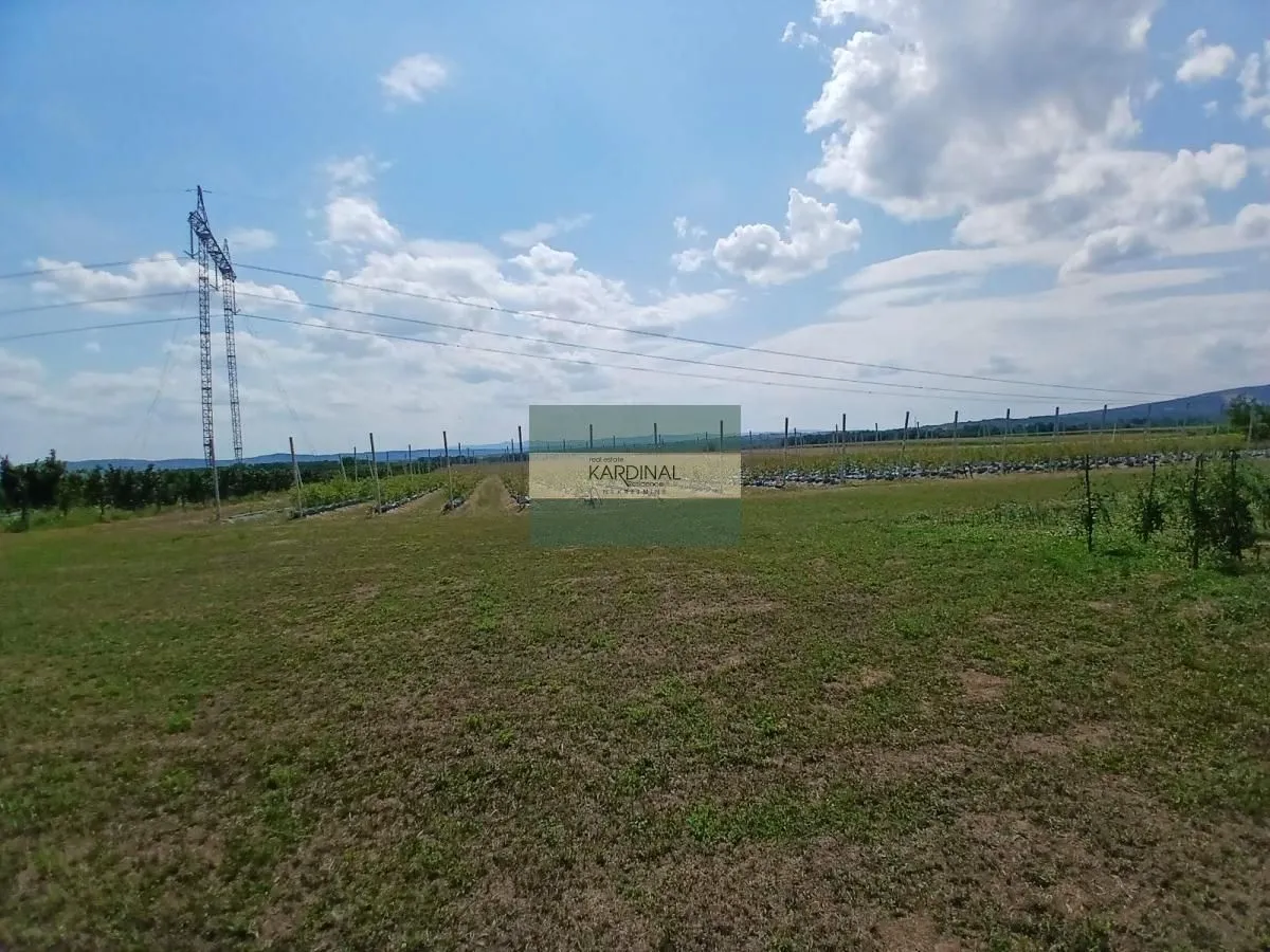 Prodaja, plac, 285100m², Medjureč, Jagodina