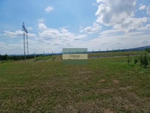 Prodaja, plac, 285100m², Medjureč, Jagodina - image 24