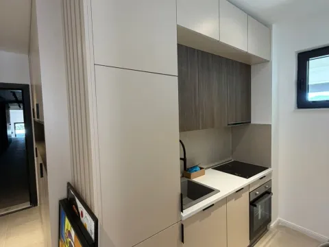 Izdavanje, jednosoban stan, 45m², Zabjelo, Podgorica - image 10