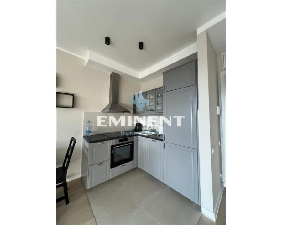 Izdavanje, dvosoban stan, 48m², Novi Beograd Blok 67, Novi Beograd Sve Podlokacije