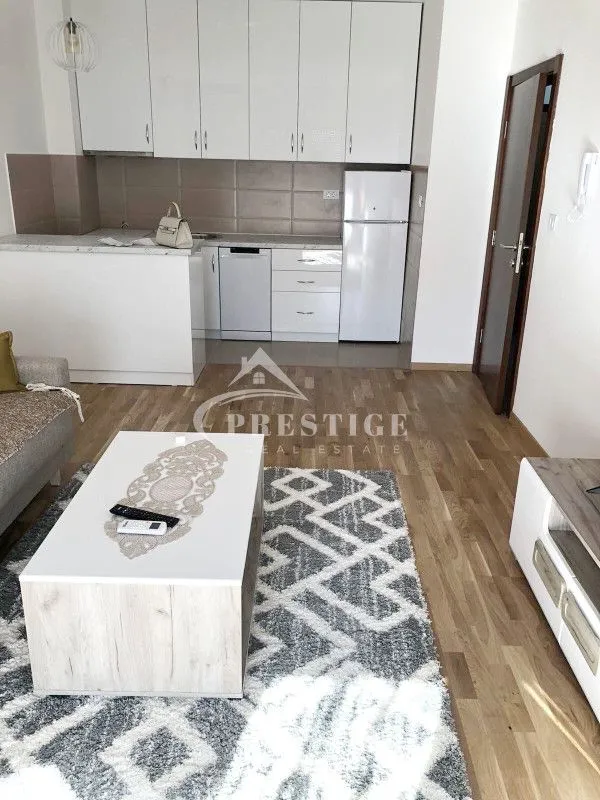 Rent, one bedroom apartment, 45m², Tuški Put, Podgorica