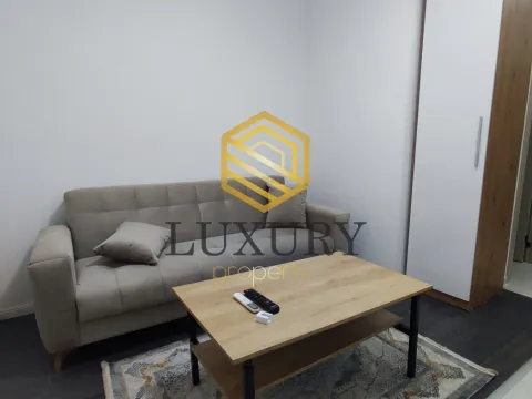 Rent, studio apartment, 20m², Zabjelo, Podgorica - image 8