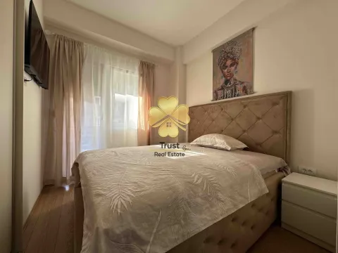 Izdavanje, jednosoban stan, 40m², Ljubović, Podgorica - image 8