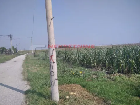 Sale, land lot, 8900m², Ovča, Palilula Sve Podlokacije - image 4