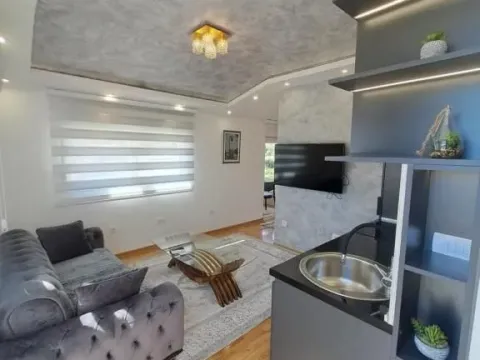 Izdavanje, jednosoban stan, 42m², Stara Varoš, Podgorica - image 9