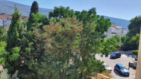 Izdavanje, jednosoban stan, 45m², Đenovići, Herceg Novi - image 10