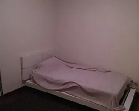 Izdavanje, četvorosoban stan, 270m², Vračar Hram, Vračar Sve Podlokacije - image 15