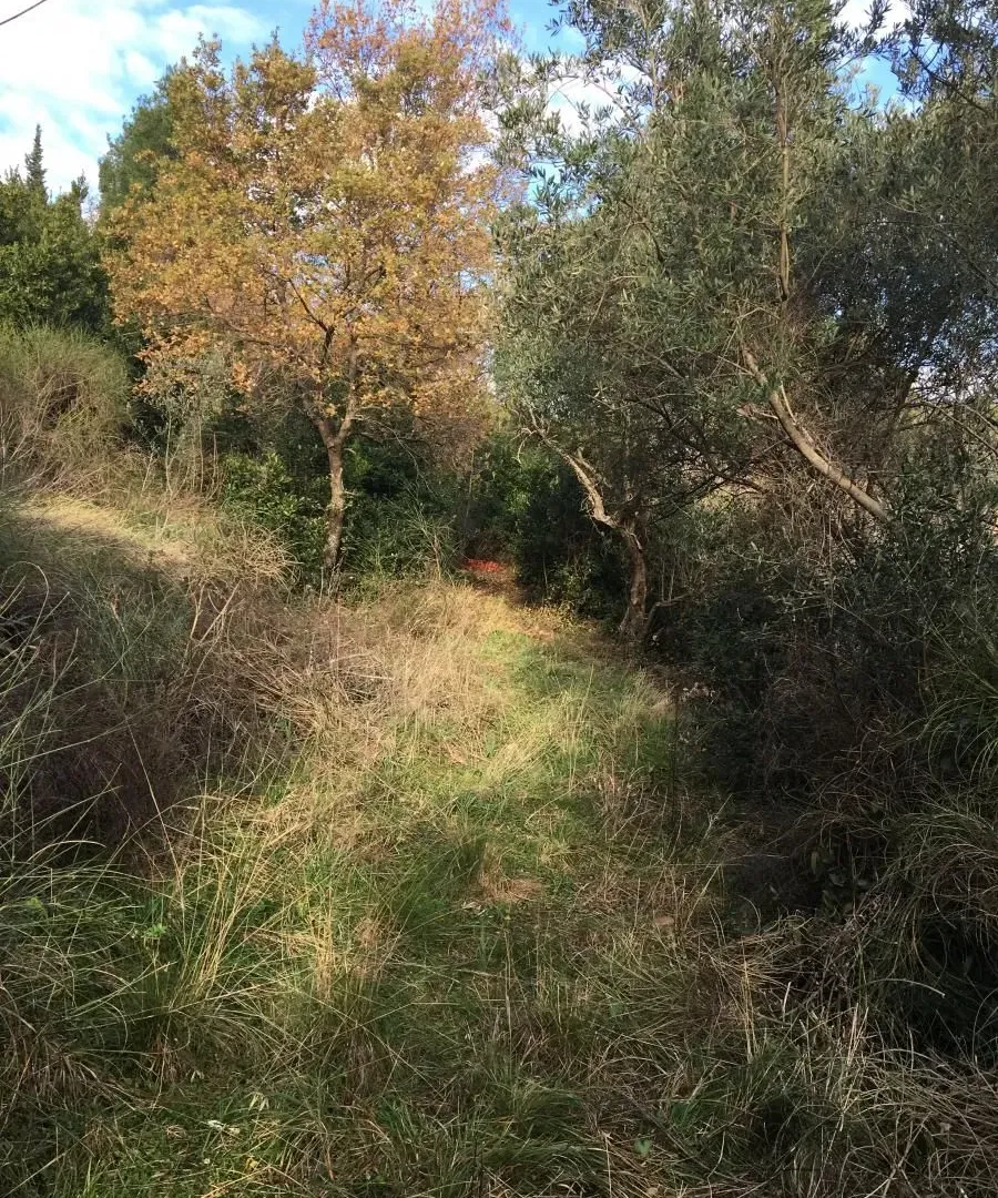 Prodaja, plac, 1600m², Muo, Kotor