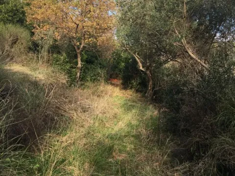 Prodaja, plac, 1600m², Muo, Kotor - image 4