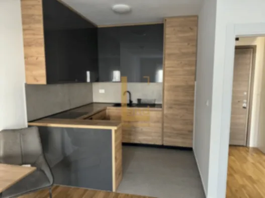 Rent, one bedroom apartment, 47m², Stari Aerodrom, Podgorica