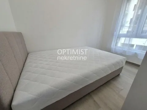 Izdavanje, dvosoban stan, 40m², Vračar Sve Podlokacije, Beograd - image 6