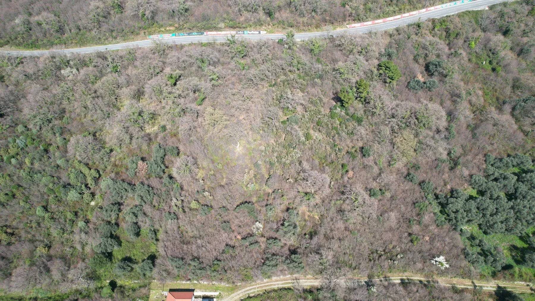 Prodaja, plac, 15810m², Buljarica, Budva