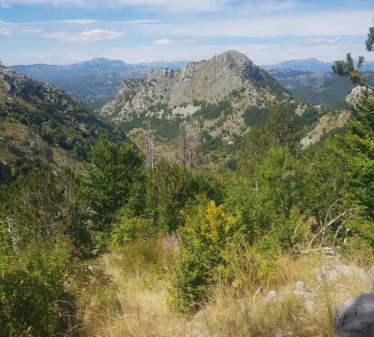 Prodaja, plac, 725000m², Podgorica, Crna Gora