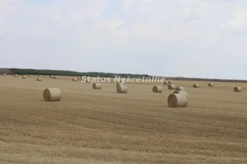 Pogled na polje sa rolovanim balama sena. - image 2