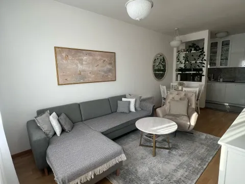 Izdavanje, jednosoban stan, 42m², Pobrežje, Podgorica - image 13