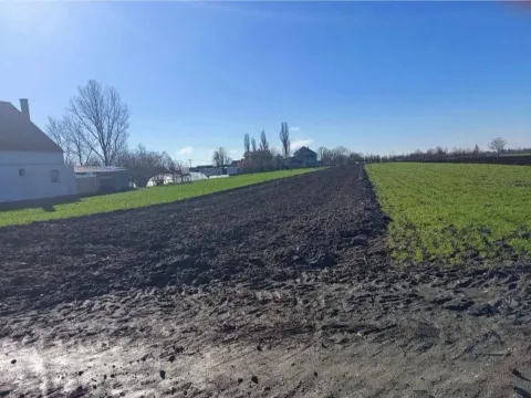 Zemljište in Golubinci