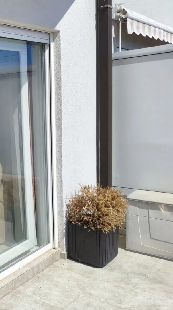 Terasa sa popločanim podom, saksijom i pogledom na spoljašnji zid.