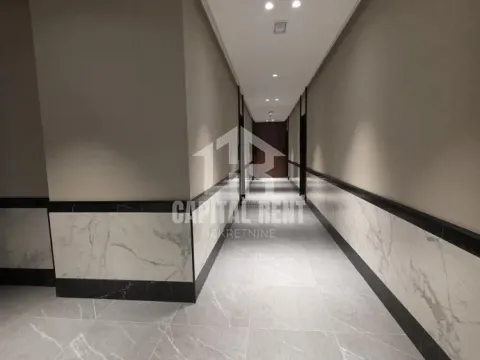 Izdavanje, dvosoban stan, 58m², Vračar Centar, Vračar Sve Podlokacije - image 17