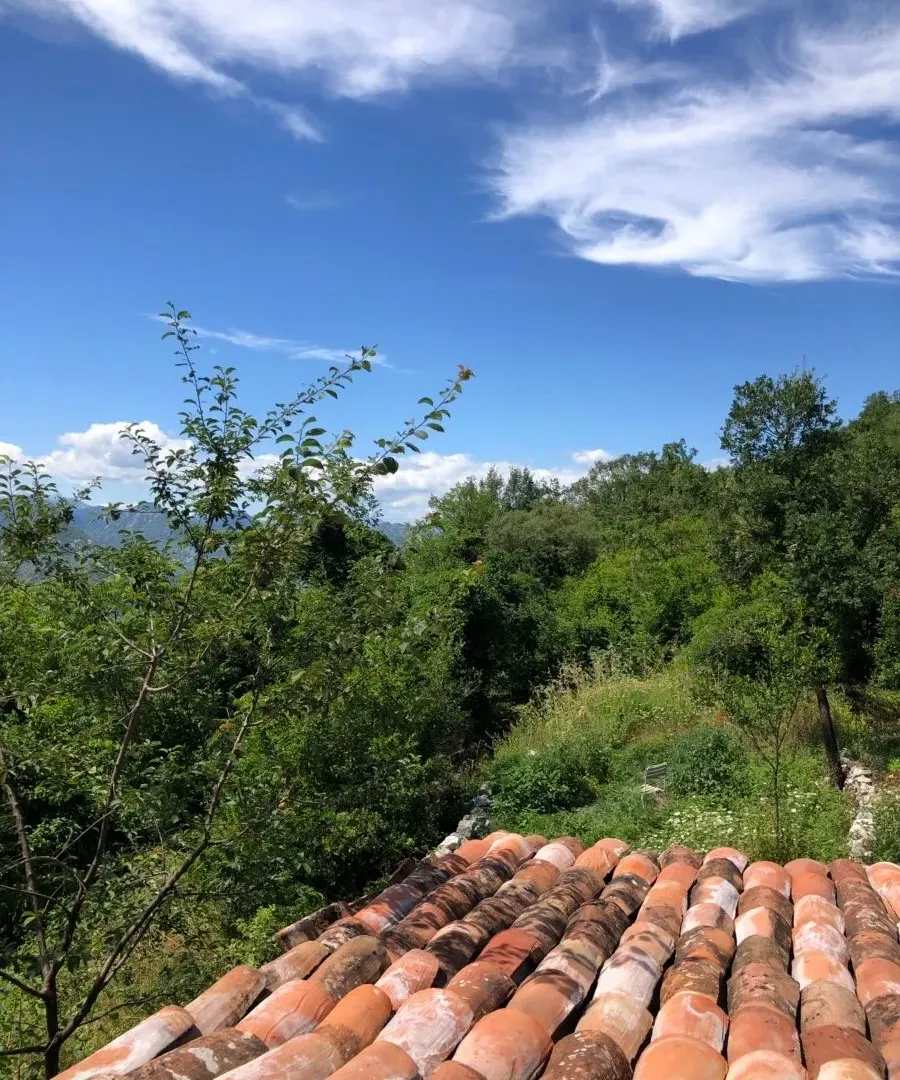 Sale, house, 110m², Seoca, Bar