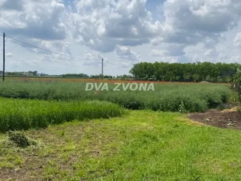 Sale, house, 37m², Čenej, Novi Sad Sve Podlokacije - image 3