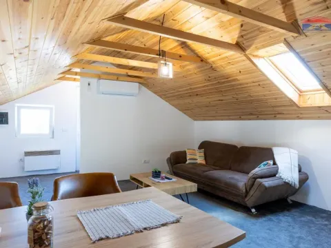 Sale, house, 230m², Banja Vrdnik, Irig - image 10