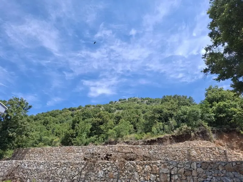 Sale, land lot, 5000m², Bar, Crna Gora