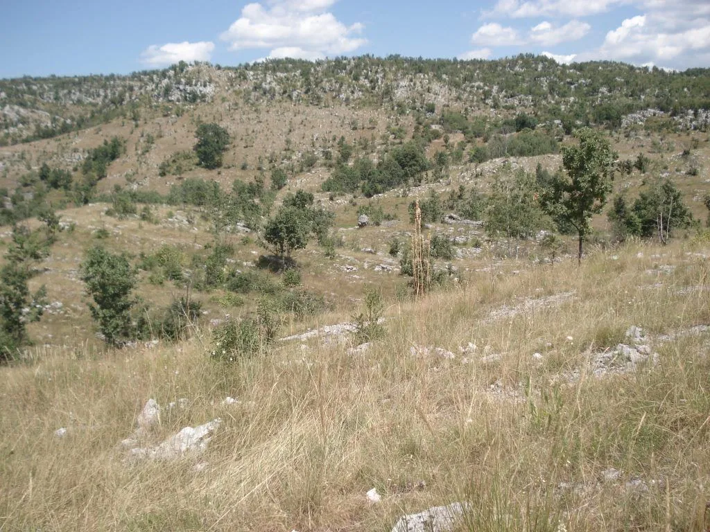 Prodaja, plac, 800000m², Cetinje, Crna Gora