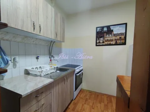 Izdavanje, dvosoban stan, 45m², Savski Venac, Beograd - image 4