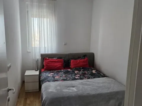 Izdavanje, trosoban stan, 55m², Zemun Cara Dušana, Zemun Sve Podlokacije - image 3