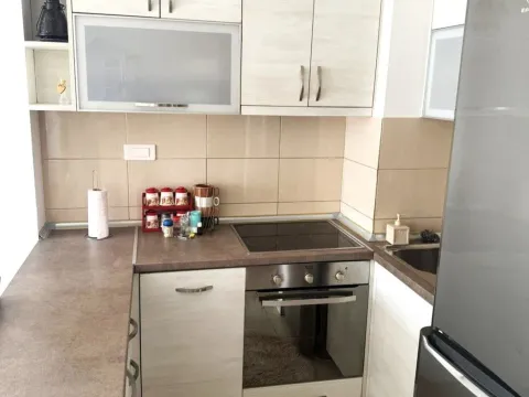 Rent, apartment, 43m², Ljubović, Podgorica - image 4