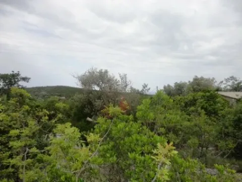 Prodaja, plac, 598m², Luštica, Herceg Novi - image 6