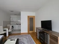 Izdavanje, jednosoban stan, 47m², Stari Aerodrom, Podgorica - image 9