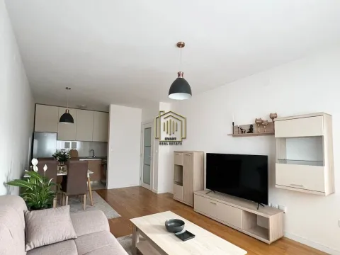 Izdavanje, jednosoban stan, 49m², Central Point, Podgorica - image 2