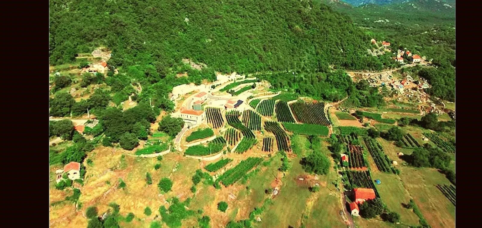 Prodaja, plac, 4400m², Cetinje, Crna Gora