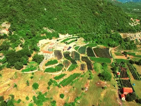 Sale, land lot, 4400m², Cetinje, Crna Gora - image 3