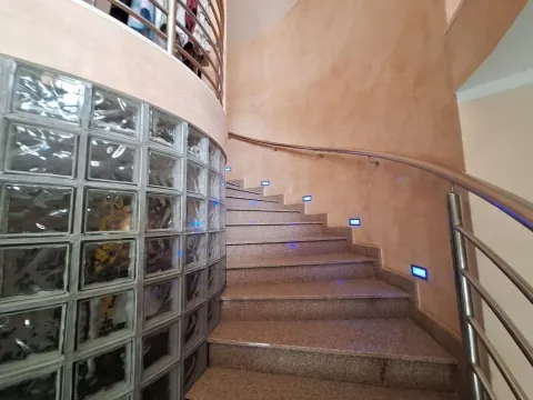 Sale, house, 253m², Adice, Novi Sad Sve Podlokacije - image 30