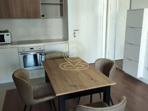 Izdavanje, dvosoban stan, 55m², Savski Venac, Beograd - image 7