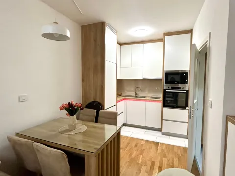 Izdavanje, jednosoban stan, 45m², Stari Aerodrom, Podgorica - image 2