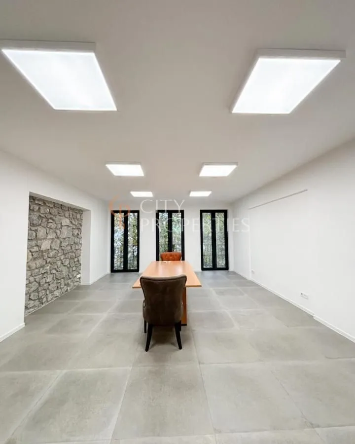 Izdavanje, poslovni prostor, 120m², Centar, Podgorica