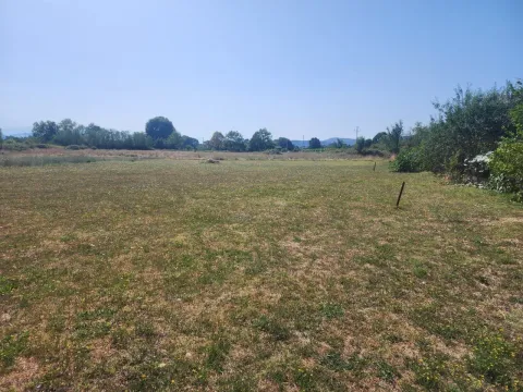 Zemljište in Grlić
