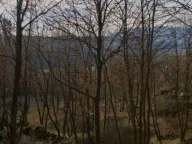 Sale, land lot, 9500m², Piperi, Podgorica - image 5