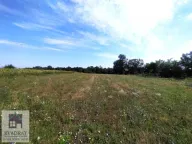 Prodaja, plac, 50m², Trlić, Ub - image 5