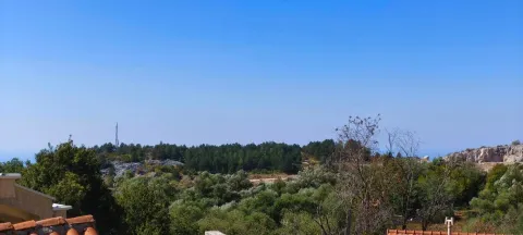 View of the surrounding nature and forest from the property's terrace. - image 7