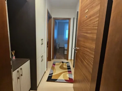 Izdavanje, jednosoban stan, 43m², Tološka šuma, Podgorica - image 8