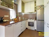 Prodaja, kuća, 250m², Dušanovac, Voždovac Sve Podlokacije - image 4