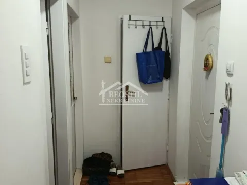 Prodaja, jednosoban stan, 29m², Kotež, Palilula Sve Podlokacije - image 2