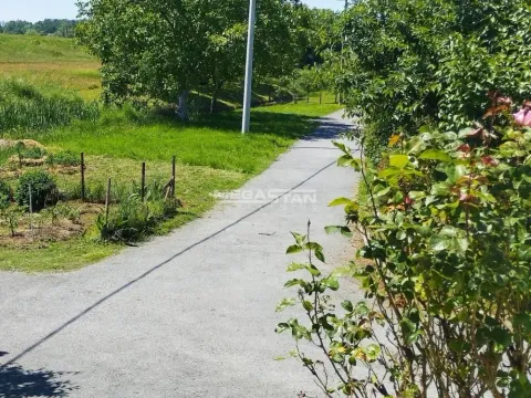 Prodaja, poslovni prostor, 187m², Krnjaca, Palilula Sve Podlokacije - image 11